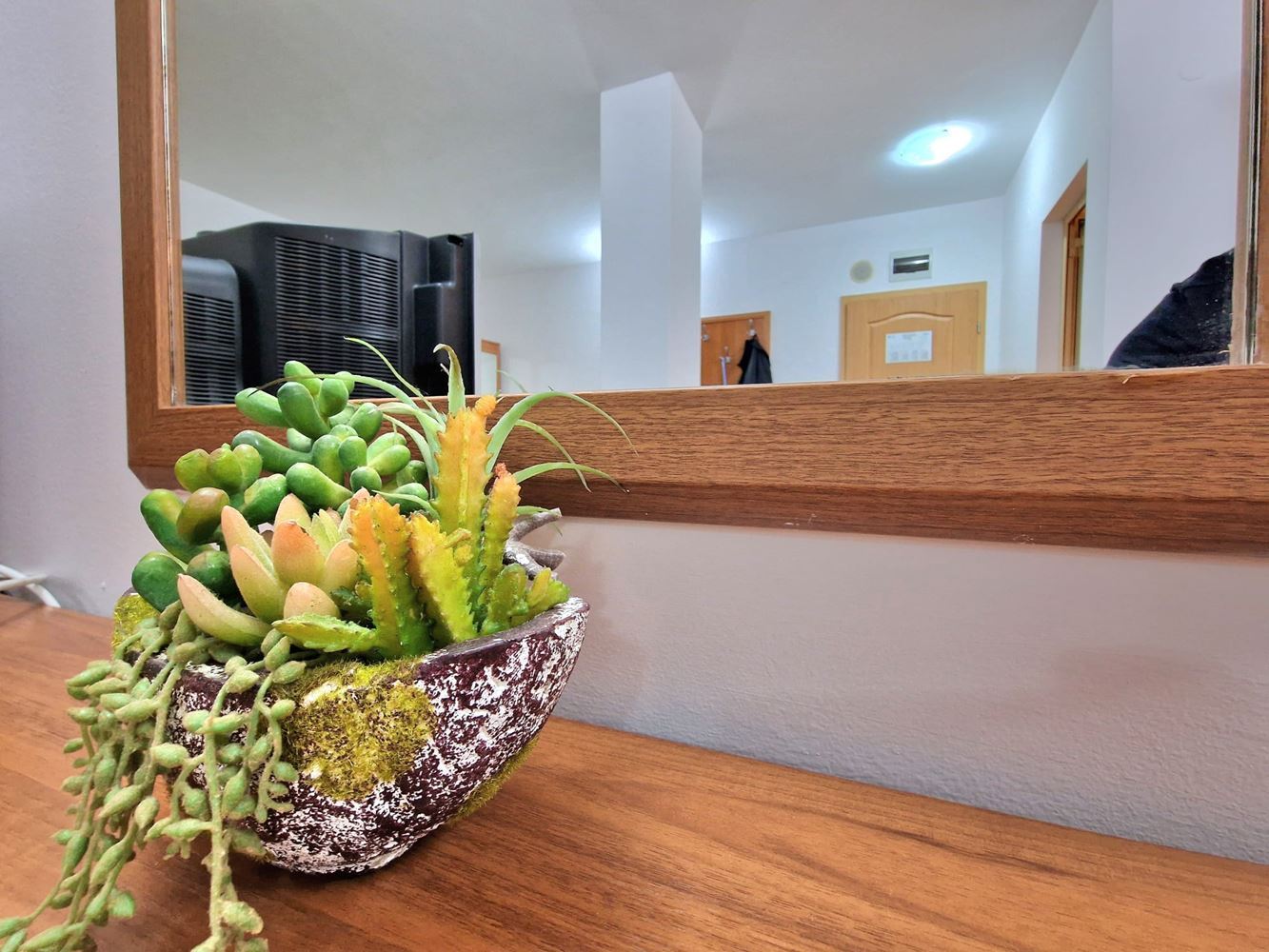 Panoramatické studio v nejvyšším patře na Slunečném pobřeží – klid, prostor a pocit svobody