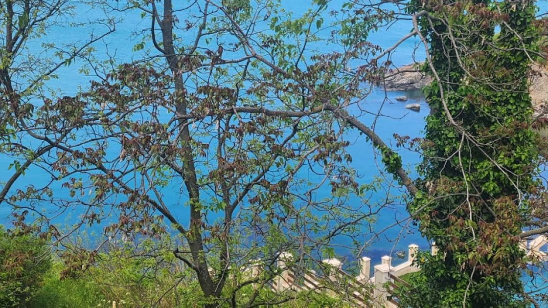 Mezonet v první linii u moře v Sozopolu s panoramatickými výhledy a butikovou lokalitou